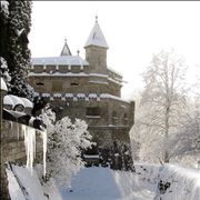 Lichtenstein Castle At Winter